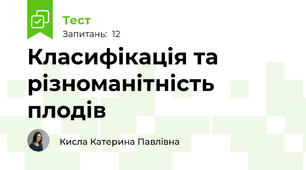 Класифікація та різноманітність плодів