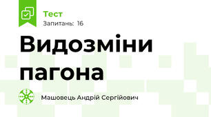 Видозміни пагона