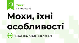 Мохи, їхні особливості