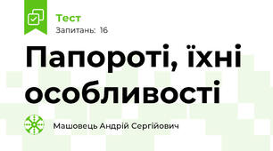 Папороті, їхні особливості