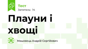 Плауни і хвощі
