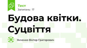Будова квітки. Суцвіття
