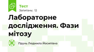  Лабораторне дослідження. Фази мітозу