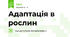 Адаптація в рослин