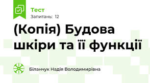 (Копія) Будова шкіри та її функції
