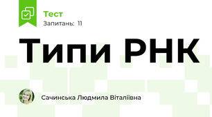 Типи РНК