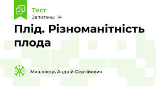 Плід. Різноманітність плода