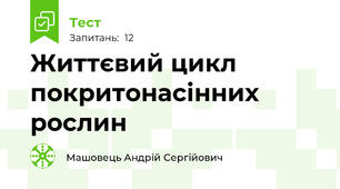Життєвий цикл покритонасінних рослин