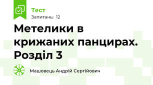 Метелики в крижаних панцирах. Розділ 3