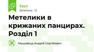 Метелики в крижаних панцирах. Розділ 1