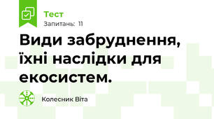 Види забруднення, їхні наслідки для екосистем.
