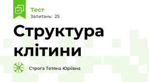 Структура клітини