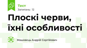 Плоскі черви, їхні особливості