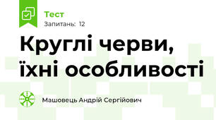 Круглі черви, їхні особливості 