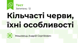 Кільчасті черви, їхні особливості