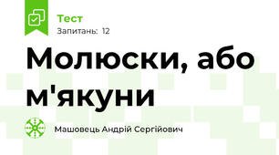 Молюски, або м'якуни