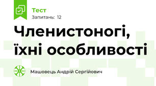 Членистоногі, їхні особливості