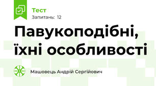 Павукоподібні, їхні особливості