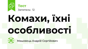 Комахи, їхні особливості