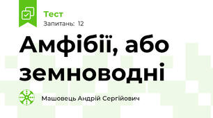  Амфібії, або земноводні