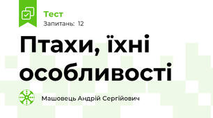 Птахи, їхні особливості