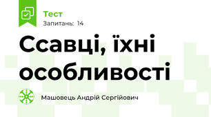 Ссавці, їхні особливості