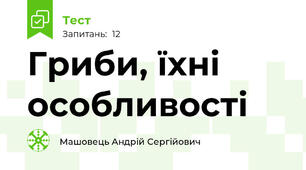 Гриби, їхні особливості