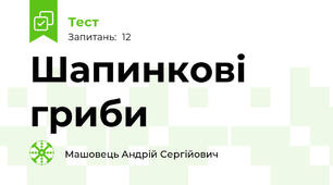 Шапинкові гриби