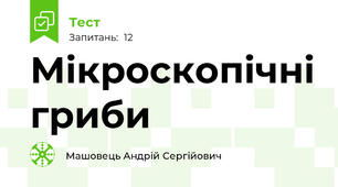 Мікроскопічні гриби