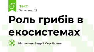 Роль грибів в екосистемах