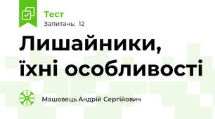 Лишайники, їхні особливості