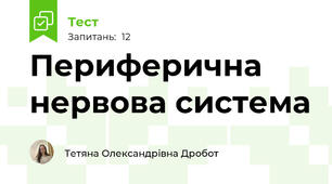 Периферична нервова система