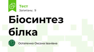 Біосинтез білка