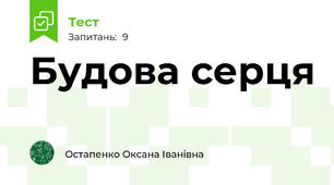 Будова серця