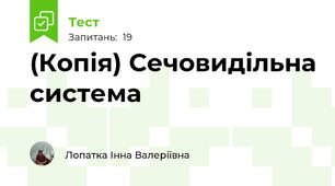 (Копія) Сечовидільна система