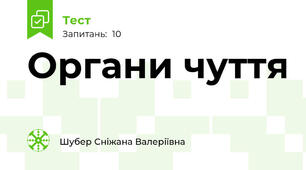 Органи чуття