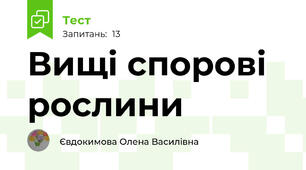 Вищі спорові рослини