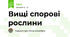 Вищі спорові рослини