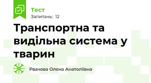 Транспортна та видільна система у тварин