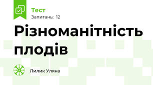 Різноманітність плодів