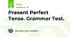 Present Perfect Tense. Grammar Test.
