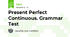 Present Perfect Continuous. Grammar Test