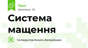 Система  мащення 