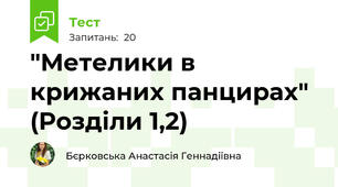 "Метелики в крижаних панцирах" (Розділи 1,2)