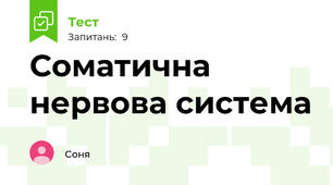 Соматична нервова система
