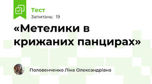 «Метелики в крижаних панцирах» 