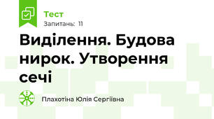 Виділення. Будова нирок. Утворення сечі