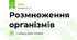 Розмноження організмів 