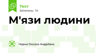 М'язи людини