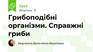 Грибоподібні організми. Справжні гриби